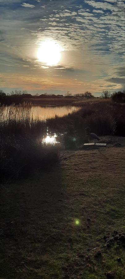 Le Mas De Mon Pere Saintes-Maries-de-la-Mer Buitenkant foto