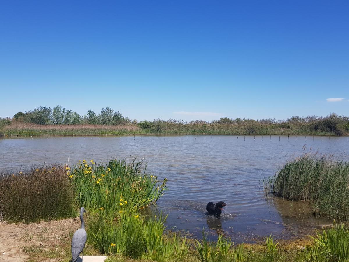 Le Mas De Mon Pere Saintes-Maries-de-la-Mer Buitenkant foto