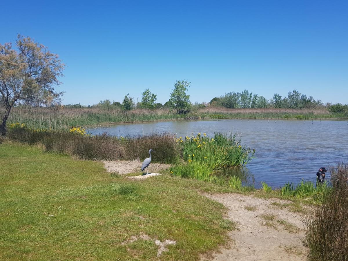 Le Mas De Mon Pere Saintes-Maries-de-la-Mer Buitenkant foto