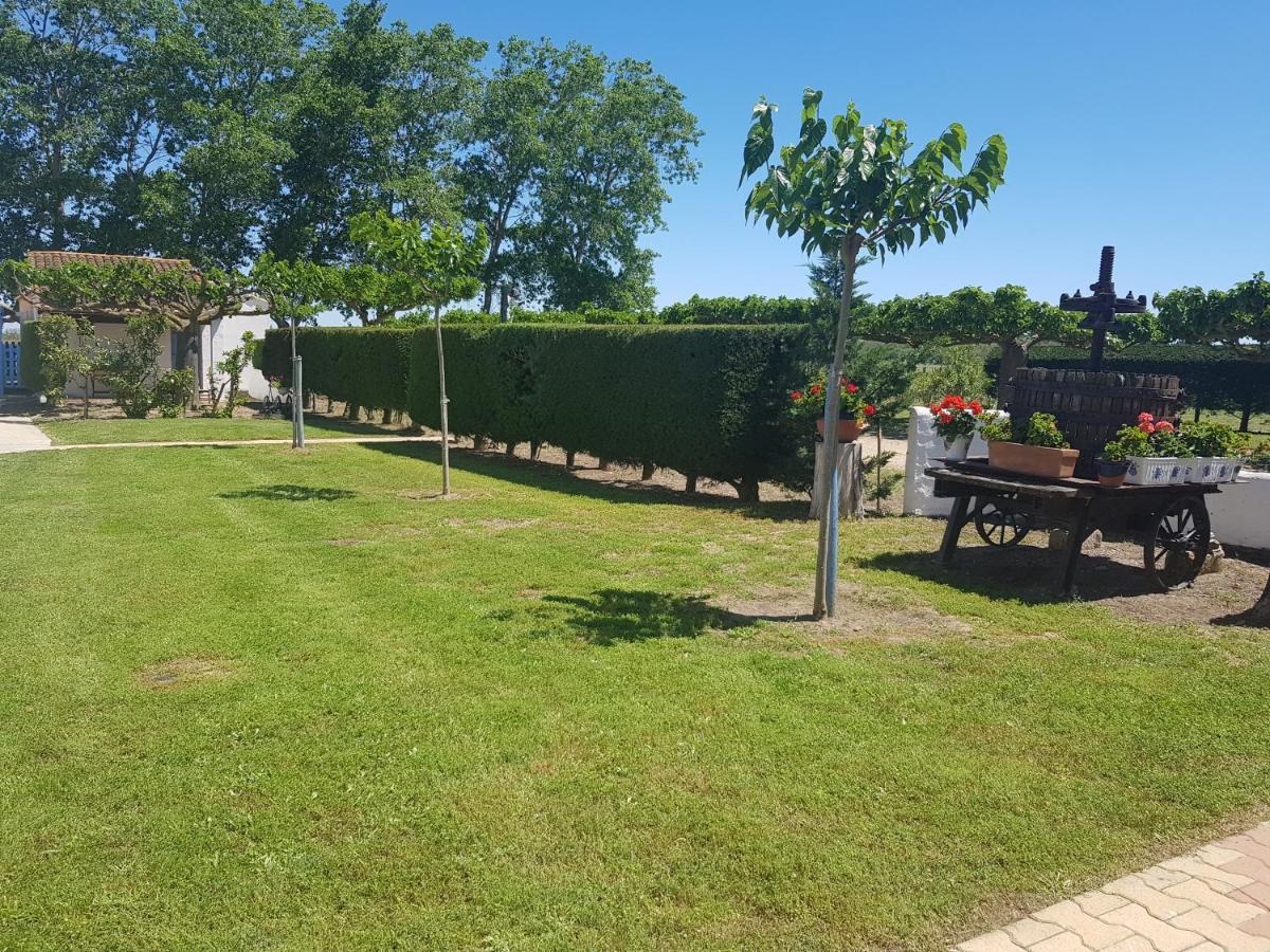 Le Mas De Mon Pere Saintes-Maries-de-la-Mer Buitenkant foto